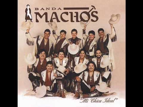 Banda Machos - Usted