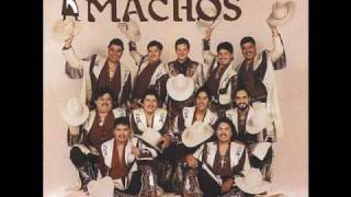 Banda Machos - Usted