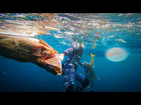 INTENSE and HUGE CATCH and rare footage of sharks attack our catch Lapu-Lapu | CATCH, SELL AND COOK