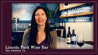 preview picture of video 'Lincoln Park Wine Bar'