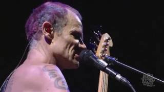 Red Hot Chili Peppers - I Would For You (Jane&#39;s Addiction cover) - Lollapalooza 2016