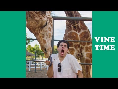 Funny Christian DelGrosso Vines (W/Titles) Christian DelGrosso Vine Compilation 2019