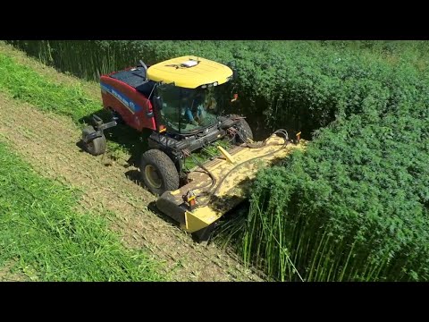 Hemp - The New Agricultural Frontier