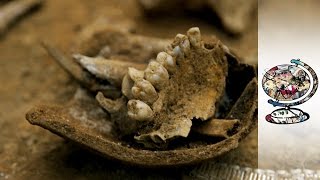 Searching For Answers 20 Years On From Bosnian War