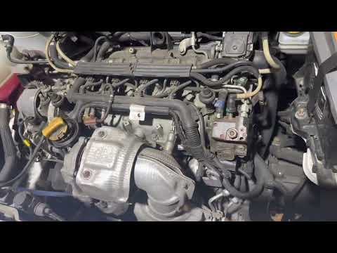 1.3 multijet Jtd fiat doblo chain sound