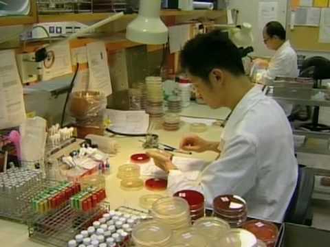 Swine Flu Tops List of 2009 Health Issues