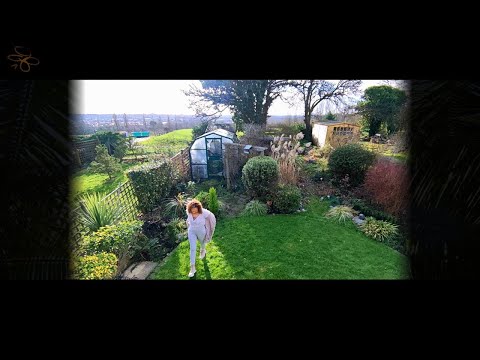 JC Lodge - Better Days