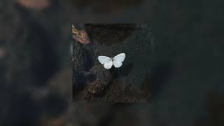 Download lagu Hanya Lolongan - Nabila Taqiyyah | Speed Up | Tiktok Version mp3