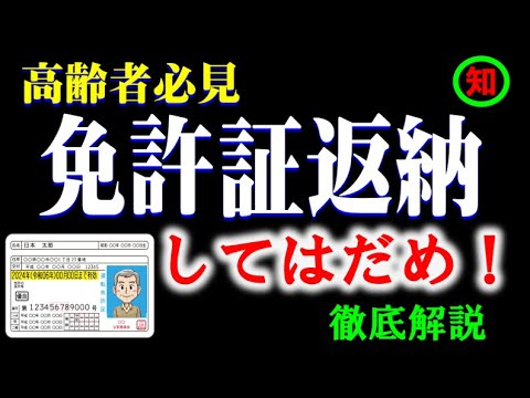 デジタル運転免許証: Scheuer は「ドライバーの日常生活をずっと楽にしたい」と考えています。