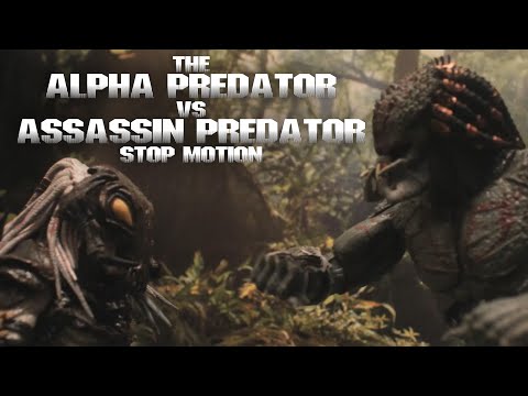 The Alpha Predator vs Assassin Predator