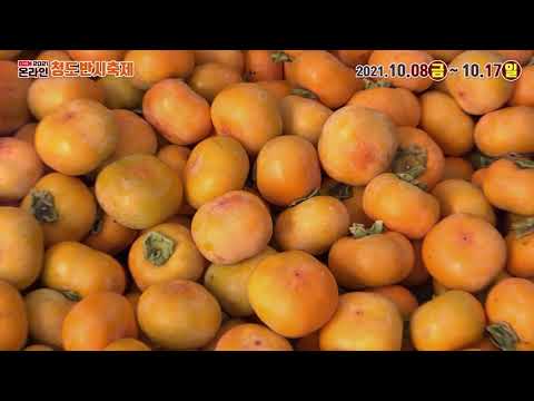 20201 온라인 청도반시축제 홍보영상 