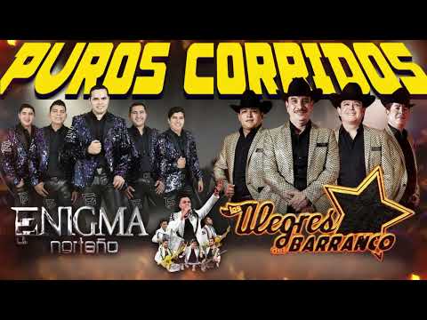 Los Alegres Del Barranco y Enigma Norteño - Puros Corridos Mix 2024 ( 30 Mejores Exitos )