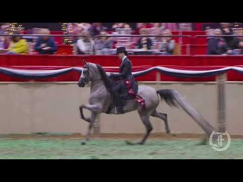 Freedman's at the 2022 Scottsdale Arabian Horse Show