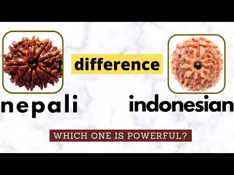 Nepali Rudraksha vs Indonesian rudraksha - which one is best?