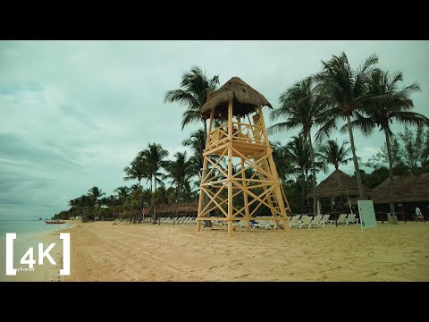 Playa del Carmen 4K, Tropical Beach Walk at 6AM | Relaxing ASMR