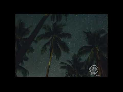 [FREE} Architrackz & Bryan Mg & Wawa Type Beat: 'Spacen' | Prod. Palm Production (2021)