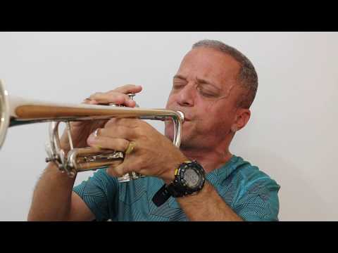 Hino 02 - Hinário 5 CCB (Sem Improvisos) Fernando Lopez