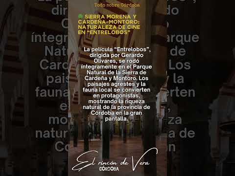 ¿Sabías ESTO de Córdoba? 🏛️🔥