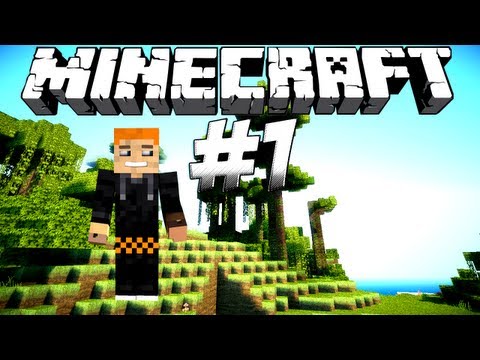 Let's Play Minecraft #1 - Sonic Ether Am Start!