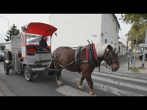 شاهد جمع النفايات وإعادة تدويرها عن طريق الحصان "كيتور" شمال باريس