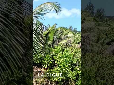 Beautiful Seychelles beaches.2022.All 3 islands #shorts