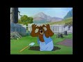 Barney Bear Got Hit On The Head By An Anvil