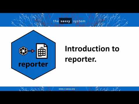 Reporter Package Introduction