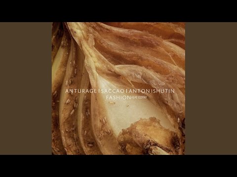 Fashion (Paravoice Remix)