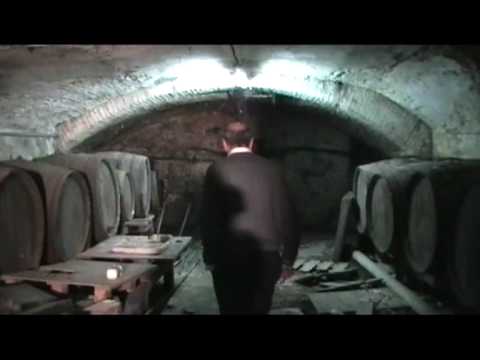 Dammi il Tiro - Osteria del Sole di Bologna, e le sue misteriose cantine...