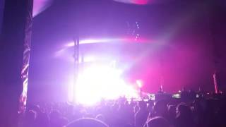 Groovin in the moo. Golden features open