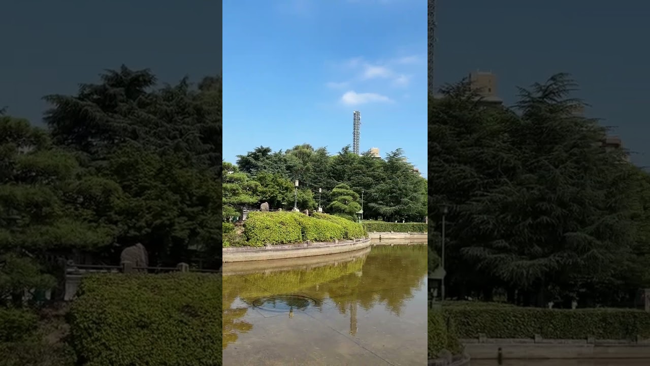 YouTube Short thumbnail