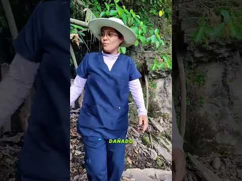 Así encontramos LA AZUFRADA en la Plata #huila #turismo #viajes #emprender