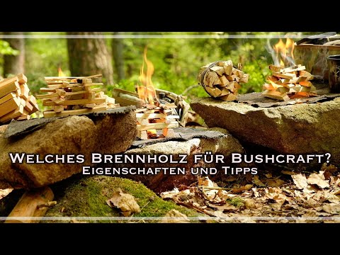 Brennholz  - Aber welches ist das Beste? - Brenneigenschaften Birke / Buche / Fichte -