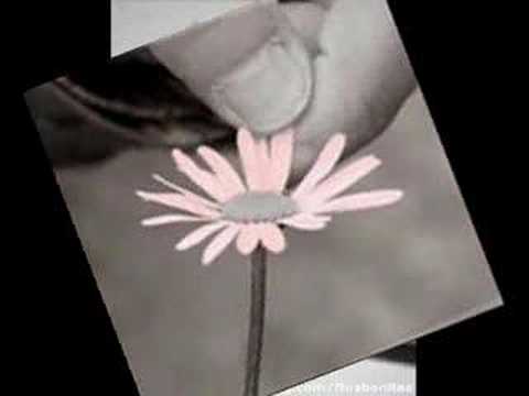 Sin Ti   *Genioh & Liwa*