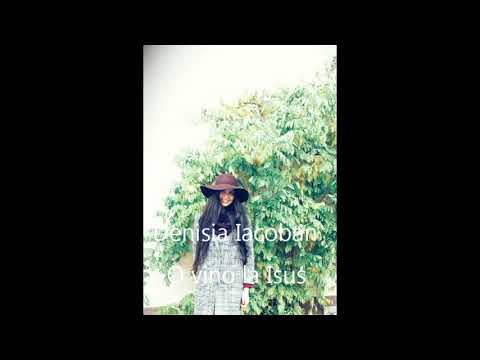 Denisia Iacoban - O vino la Isus