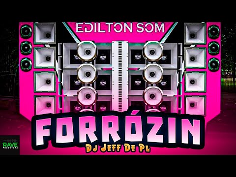 SELEÇÃO DE FORRÓZIN 2024 - AS MAIS TOCADAS DO TIKTOK 2K24 - AS MELHORES PRA PAREDÃO - DJ JEFF DE PL