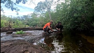 ແກງລວມເມນູອາຫານປ່າ//แกงรวมเมนูอาหารป่า Dong Una