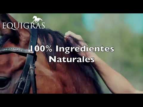 Omega 3 & 6 para su caballo con Equigras