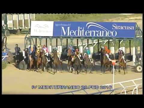 Galoppo Corse del 20 Febbraio 2016