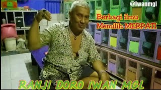 Download lagu PREVIEW CARA MEMILIH MERPATI KENTONG TINGGIAN YANG BISA NUNGKUL ATAU TURUN 12 PASS mp3