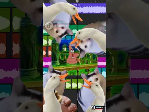 Magic Melody Random Memes #memes #mashup #remix