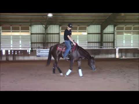 Xtra Voodoolicious- 2017 sorrel mare