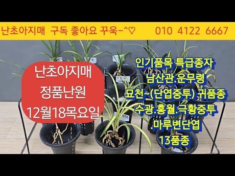 유튜브 썸네일