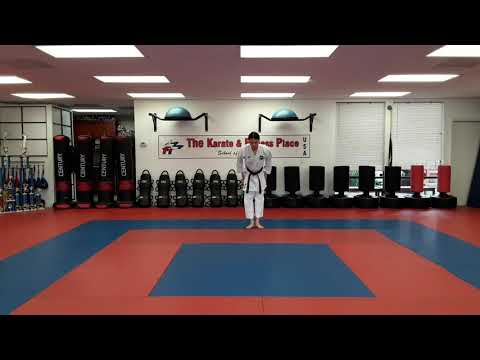 Kihon Kata Go #5 - Fast