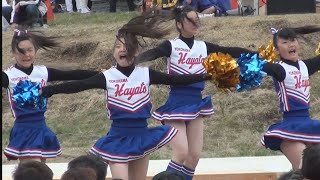 上瀬谷通信さくら祭り チアダンスステージ