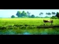 SIR CP Malayalam Movie Title Song Katturumbinum Kaathukuthenam HD