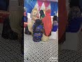 A Muslim Girls Twerking