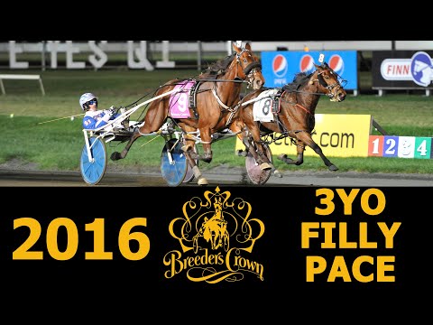 2016 Breeders Crown - Call Me Queen Be - 3FP