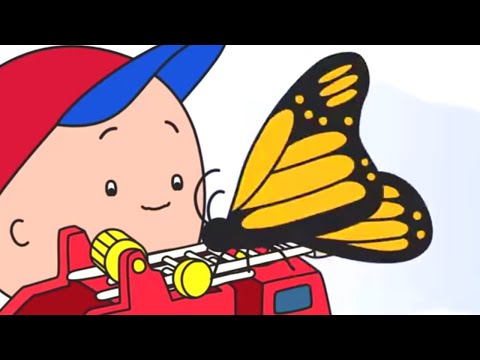 Caillou em Português | Caillou e a Borboleta | 526 | Nova Temporada | Desenho Animado