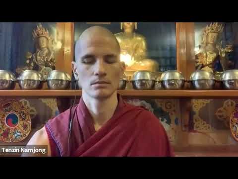 Discovering Buddhism, Module 1: Mind and Its Potential 4/7